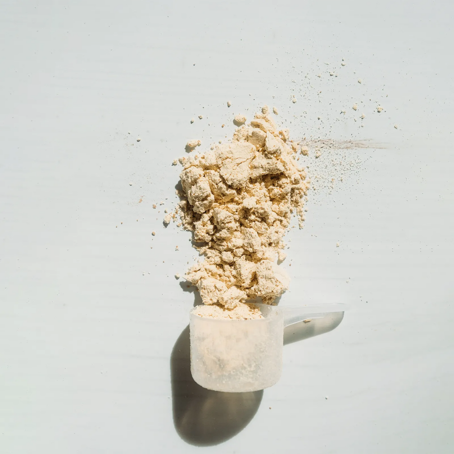 Protein Powder
